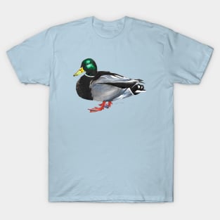 Mallard Duck - Male T-Shirt